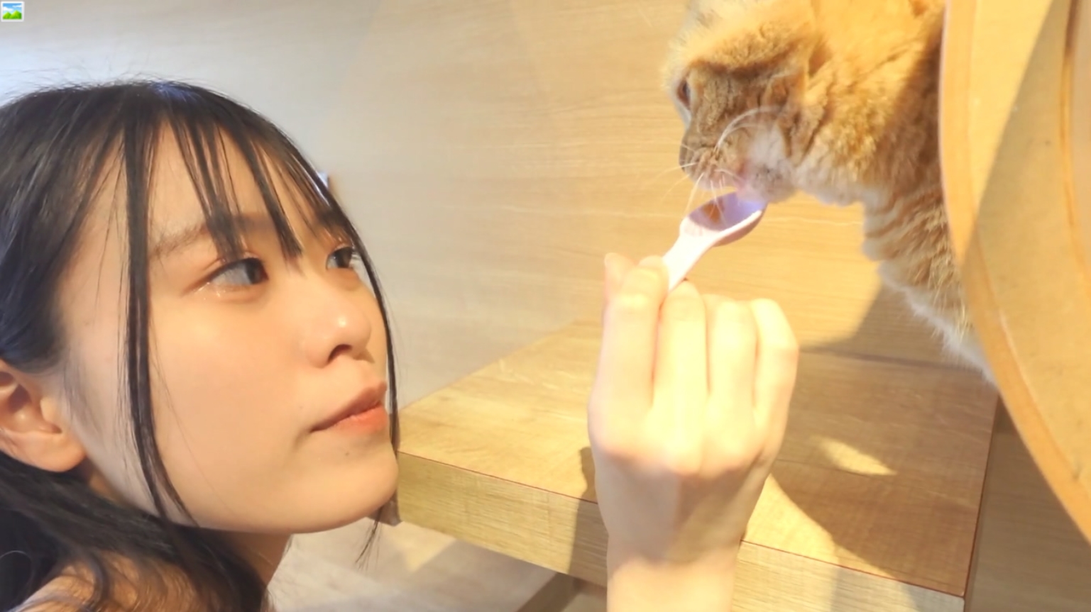 ❤️❤️❤️【臺灣情侶泄密】刺青小網紅參加富二代的生日派對❤️被下藥迷翻各種道具爆插大黑B