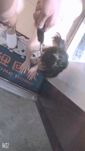 ❤️❤️❤️【臺灣】狠台北EP31隔壁呻吟不斷室友有難出屌相救幹爆她的多汁肥臀